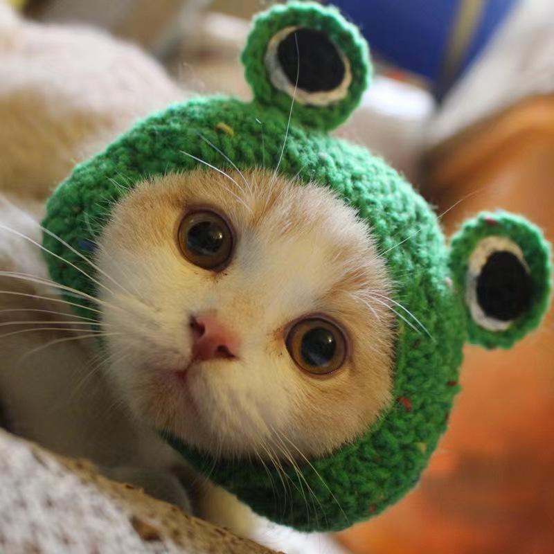 Pet Cat Headgear Popular Personalized Cospaly Headgear Funny Transformation Suit Dog Knitted Hat