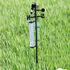 Garden Outdoor Weather Station Meteorological Measurer Vanes Tool Wind Rain Gauge Thermometer
