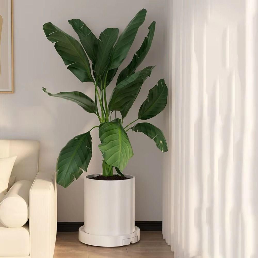 Round Plant Roller Base 4 Thicken Wheels Silent Rolling Flower Pot Tray High Load Bearing with Drainage Tray Flower Pot Mover