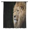 Afrikanische Wildtiere Löwe Transparente Vorhänge Wohnzimmerfenster Tüllvorhänge für Schlafzimmer Küche Heimdekoration Voile-Drapierungen