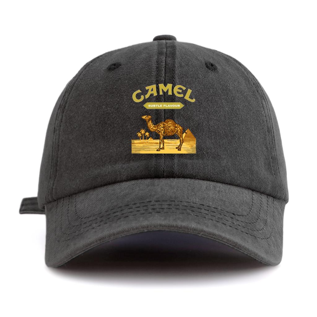 1 Stück gewaschene Baseballkappe mit Kamelprint für Erwachsene, minimalistischer Retro-Stil, lässige, weiche, verstellbare Dad-Kappe, perfekt als Geschenk