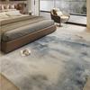 Nordic Style Carpets for Living Room Light Luxury Bedroom Decor Plush Carpet Fluffy Soft Cloakroom Rug Washable Thick Floor Mat