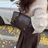 Premium Texture Large-capacity Commuter Bag Women's 2025 New Autumn and Winter Shoulder Underarm Bag Niche Light Luxury Tote Bag