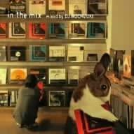 

Mix CD DJ MOCHIZUKI - In The Mix LOOP008 Loop Sounds 2006 Japan ObiPop Used