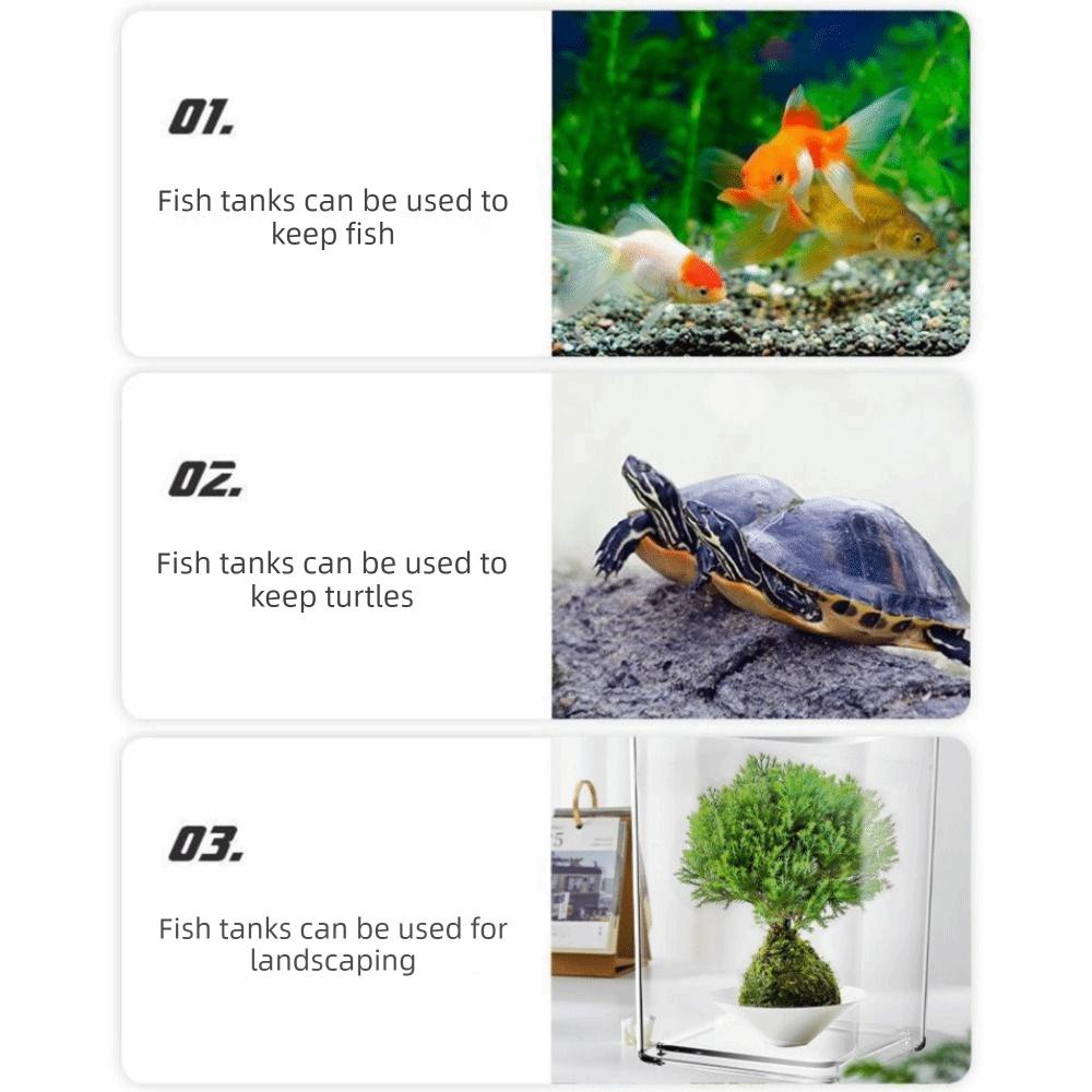 Transparent Betta Fish Tank Intelligent Sensing LED Light Desktop Fish Bowl USB Charging with Feeding Hole Fish Breeding Tank