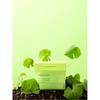 Paparecipe Real Centella Sica Cooling Water Fit Toner Pad  80 Sheets 