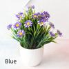 Newly Launched Spring Grass And Chrysanthemum Hot Selling Artificial Flowers Potted For Home Greenery Decoration With Pot