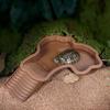 Turtles Habitat Bowl With Ergonomic Steps 4.3cm Depth Scratch Resistant For Indoor and Outdoor Use