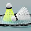 12 stk Badmintonfjærballer Livlig farge Gjenbrukbare Lettvekt Bærbare Trening Badminton for Barn Underholdning