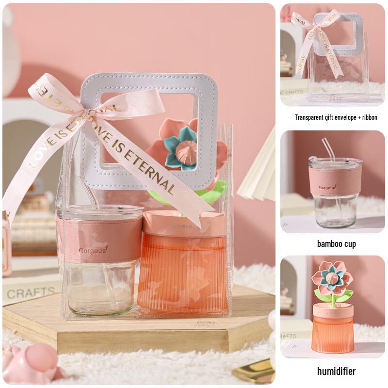 Water Cup and Humidifier Gift Set