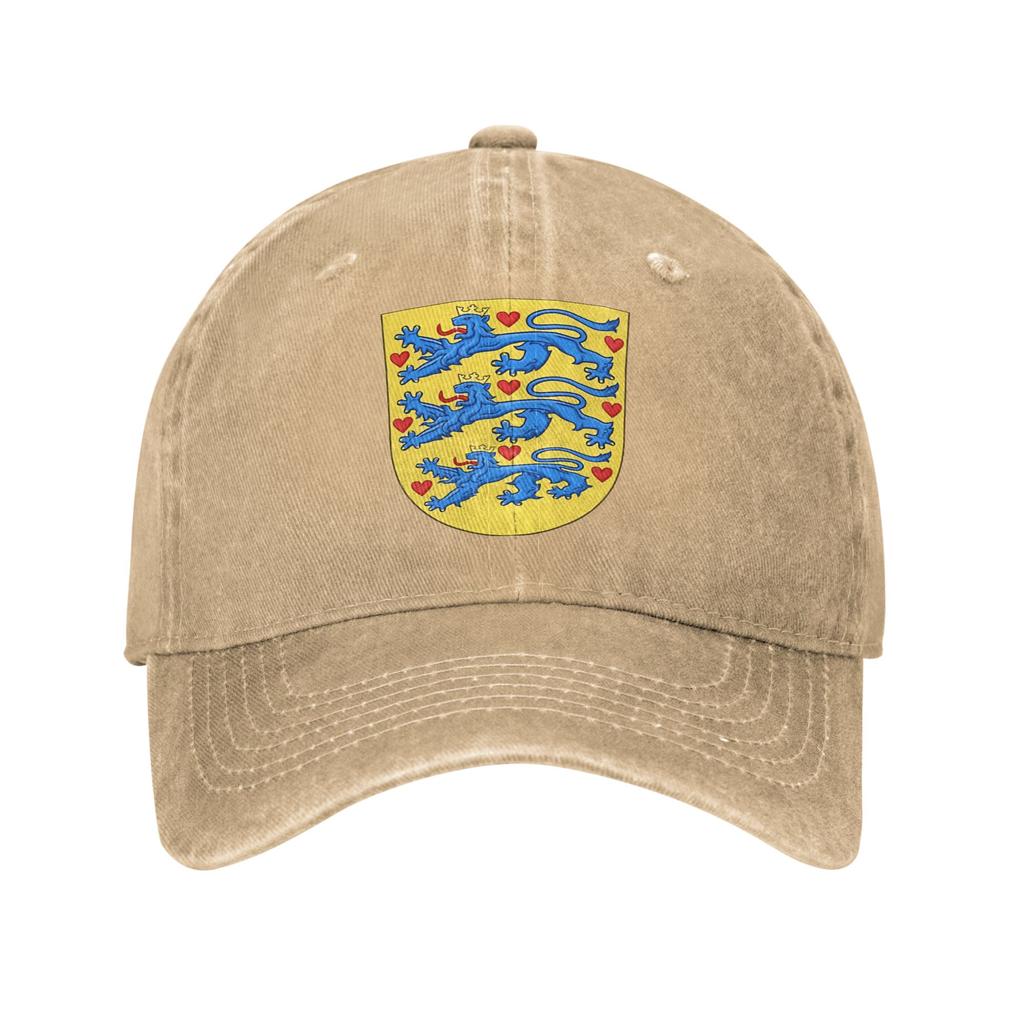 Denmark Coat of Arms Casual Baseball Cap  Kpop Rock Trucker Hat Spring Sun-Proof Unisex-Teens Y2k Cute Baseball Caps