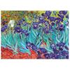 1000-teiliges Puzzle Vincent van Irises D-Toys 66916-VG03 Gogh 47×68cm