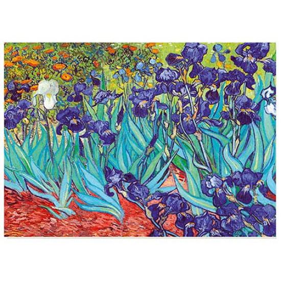 1000-teiliges Puzzle Vincent van Irises D-Toys 66916-VG03 Gogh 47×68cm