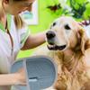 Pet Hair Removal Glove Pet Hair Cleaning Gloves Electrostatic Washable Animals Deshedding Tool Grooming Brush for Carpet Couch