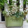 Green Ovals Planter With Decorative Spout High Leg Flower Stand Outdoor Planter For Garden Balcony
