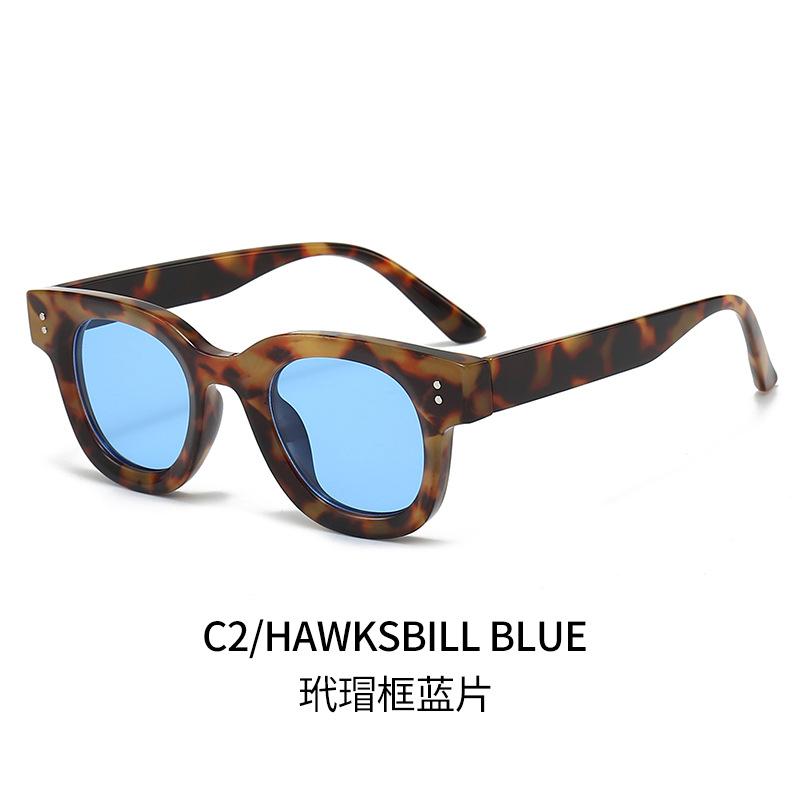 Oval Sunglasses PC Rivet Shades Anti-UV Glasses