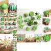 Compact Realistic-looking Fake Succulent For Indoor And Outdoor Decoration