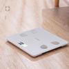 Xiangshan Smart Body Fat Scale (CN version)