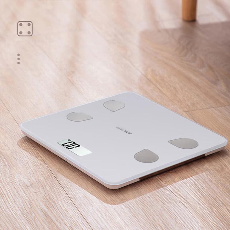 Xiangshan Smart Body Fat Scale (CN version)