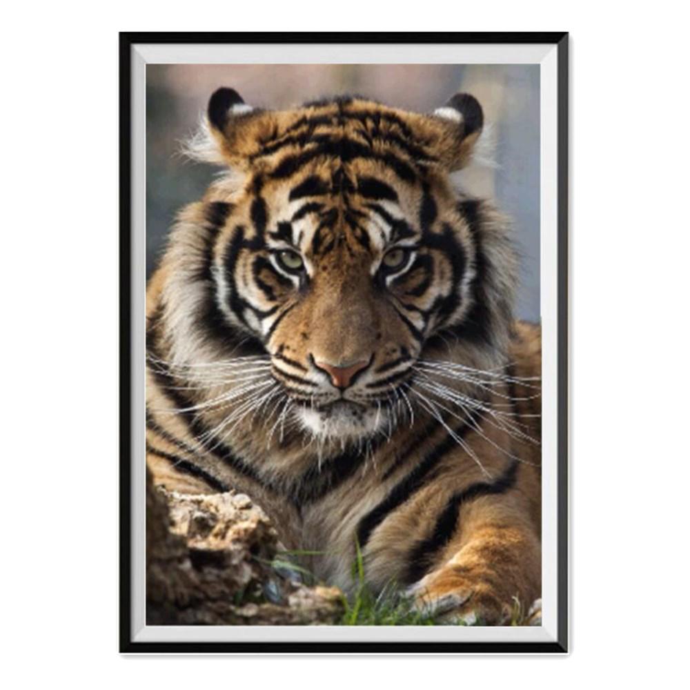 5D Diamond Painting Full Diamond Cartoon Animal Rhinestone Rhinestone Embroidery Mosaic Pattern Diy Home Decoration Gift