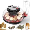 Explore+ 12 Egg Incubator for Beginners, Multi-Level Adaptive Humidity (Auto-Refill & Dual-Bottle) & Stable Temp Control, Auto Egg Turning, Real-Time