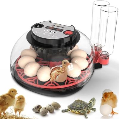 Incubadora de Ovos Explore+ 12 para Iniciantes, Umidade Adaptativa de Múltiplos Níveis (Reabastecimento Automático e Garrafa Dupla) & Controle de Temperatura Estável, Viragem Automática dos Ovos, Tempo Real