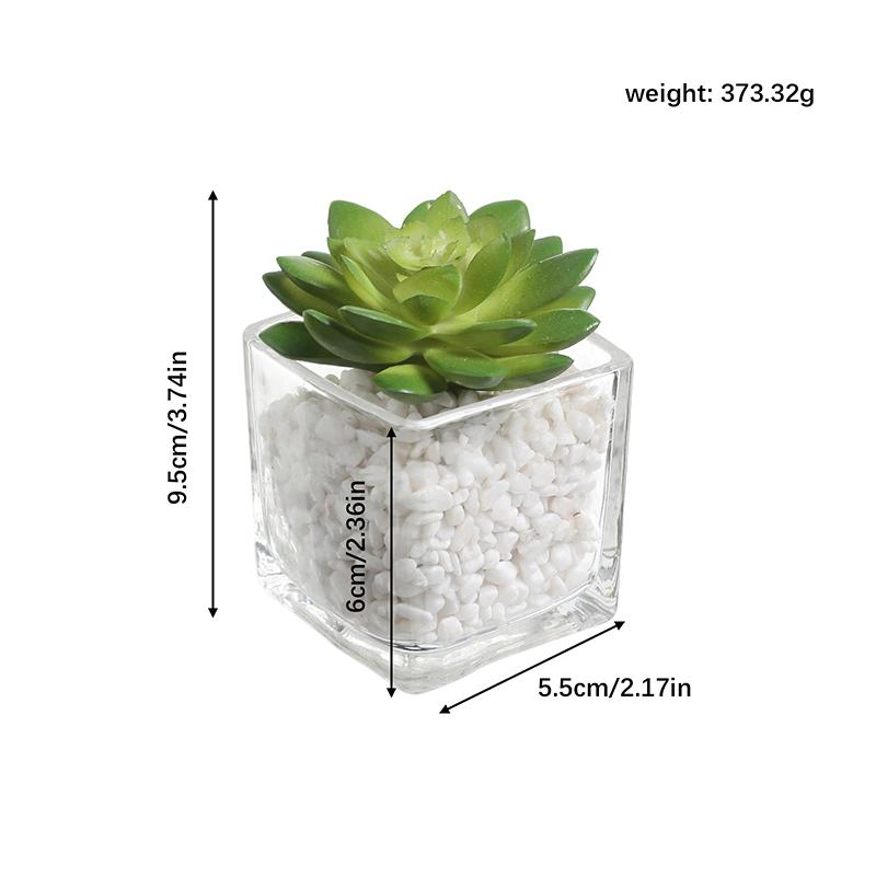 1Pcs Succulent Plant Artificial Transparent Flowerpot Fake Cactus Plant Indoor For Window Office Racks Bathroom Home Decoration
