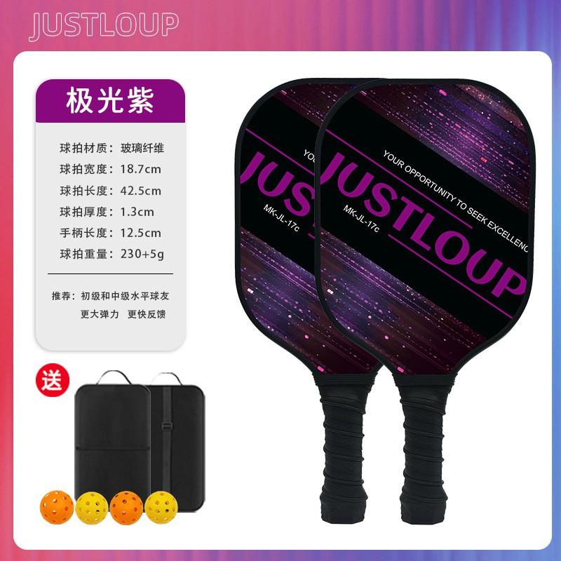 Professional Fiberglass Pickleball Paddle Set USAPA Approved Indoor Outdoor Game