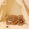 Cute Dole Bear Strap Skirt Doll Plush Toy Cartoon Clothes Bear Accompaniment Doll Gifts for Children