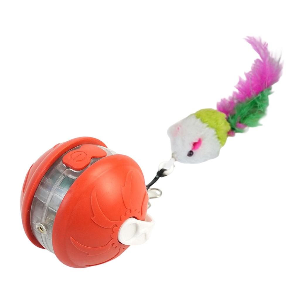 Indoor Cat Interactive Light Up Cat Toy, Rechargeable Electric Cat Ball, Electric Rolling Cat Toy(4 Tail Styles Are Sent Randomly)