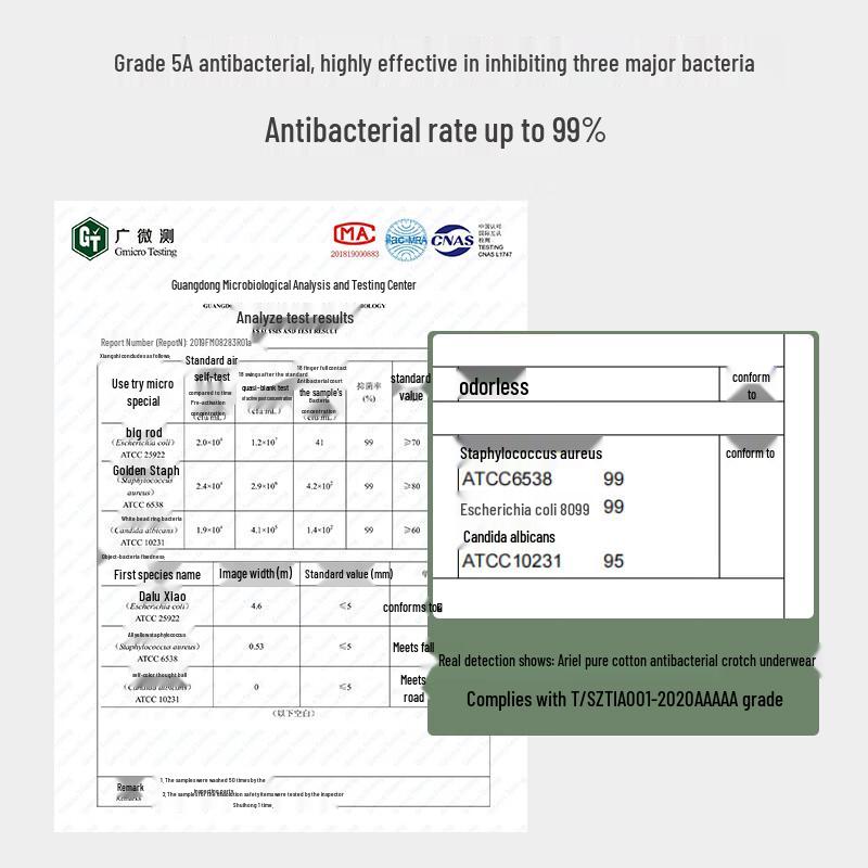 Ailier & Ouluola Girls' Antibacterial Cotton Underwear 4-Pack