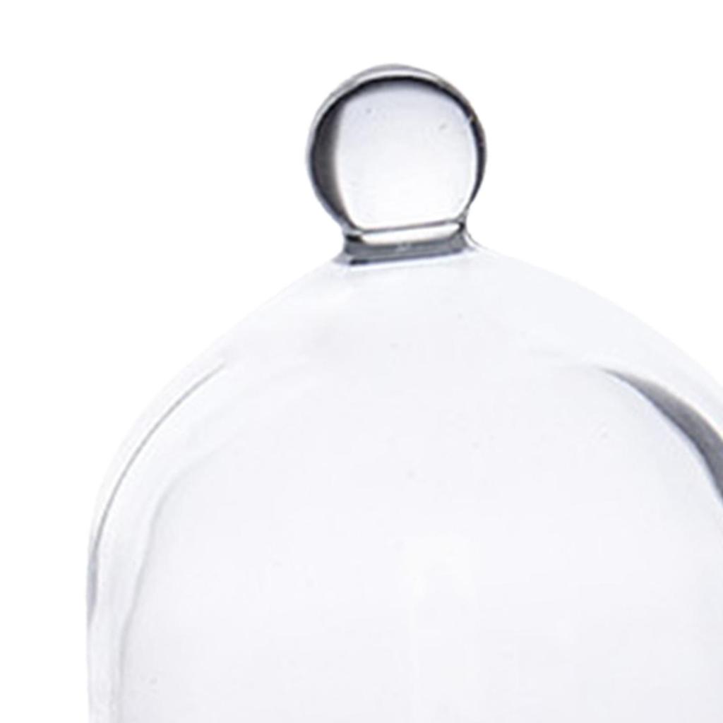 Transparent Cake Stand with Dome Lid for Birthday Decorative Multifunctional