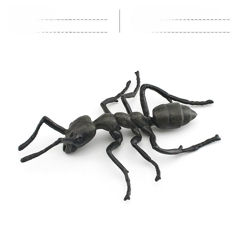

Insect Collection Model Pvc Animal Replica For Nature Study And Educational Use Style J
