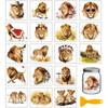 18Pcs Plastic Silhouette Paper for Lighting Decoration Paper Cut Light Box Square Lion 100x90mm