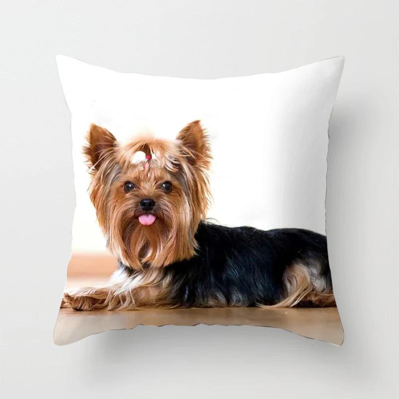 Bedroom Sofa Waist Cushion Cover Car Decorative   Cute Dog Yorkie  Yorkshire Decor Print Pillowcase