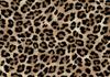 Tessuti Decorativi da Esterno Oxford - Fantasia Stampa Leopardo I Dr131