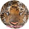 Tiger Bucket Hat For Women Men Casual Sun Wide Brim Cap Packable Outdoor Fisherman Hat