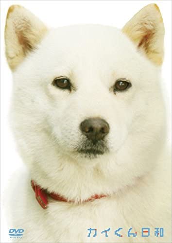 

DVD - Kai-kun weather Japan Movies & DVD Used