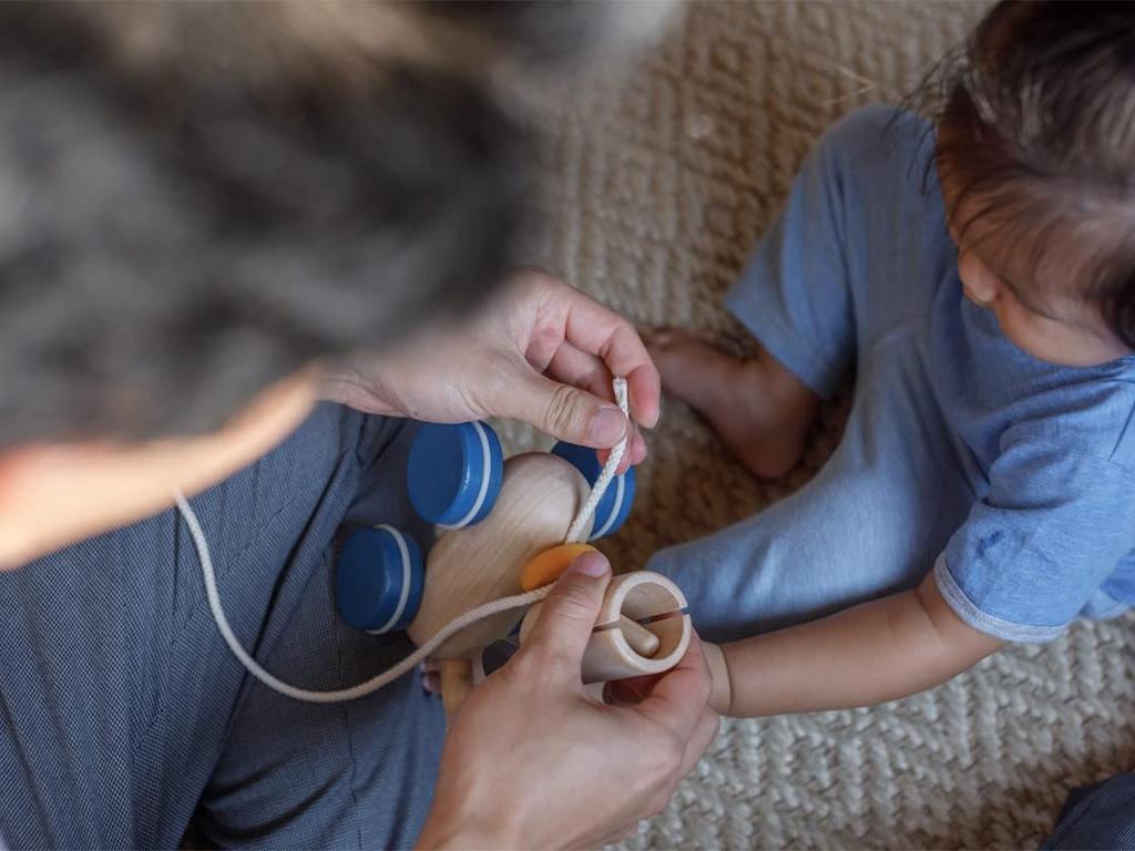 PLANTOYS JAPAN Pull & Push Puppy 5724