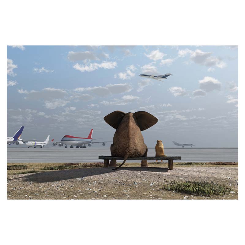 Kreatywny słoń morze zachód słońca Modern Art Home Decoration obraz na płótnie Wall Art obraz dekoracja ścienna w tle