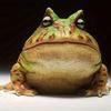 Resin Garden Frog Ornament Cartoon Landscape Decoration Universal Frog Statue  Outdoor Yard