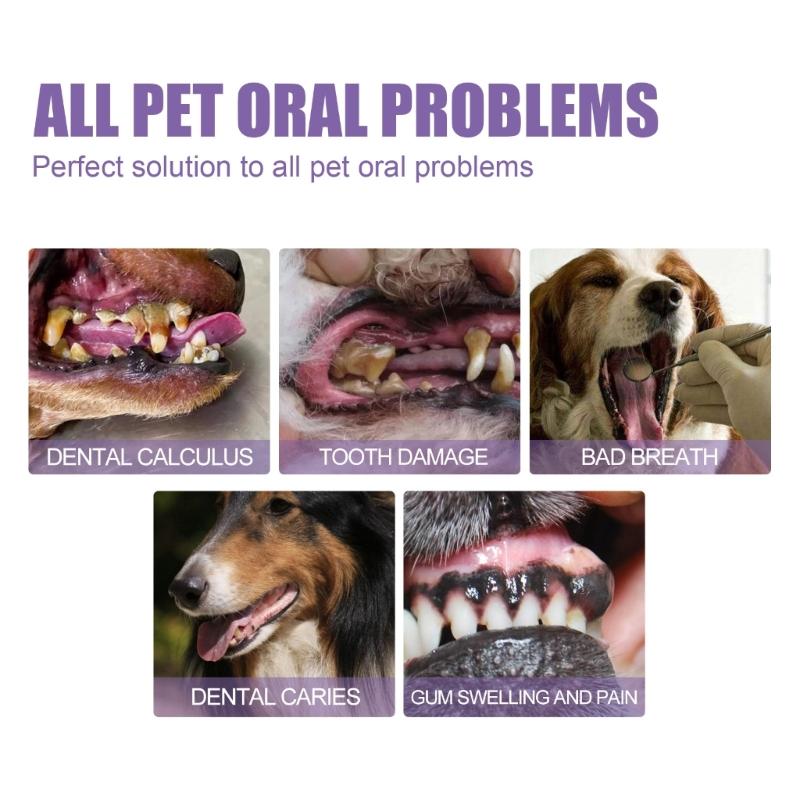 Profesionální gel Pet OralRepair pro hloubkové čištění zubů Psa Orální zdraví Opravný gel Jemné složení Zubní deodorizace