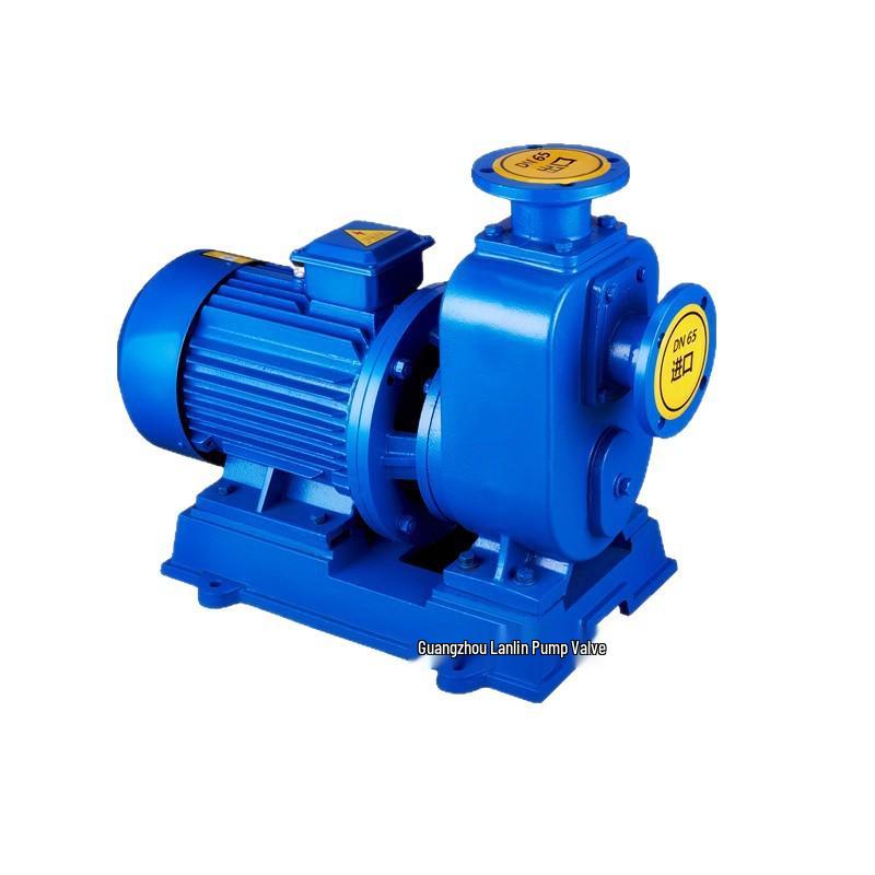 50ZW20-35 Horizontal Self-Priming Sewage Pump, 4KW High-Flow for Wastewater Discharge