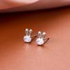 Banyan Tree S925 Silver Zircon Rabbit Earrings - Elegant, High-End Diamond Design for Women