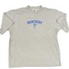 Vintage Kentucky Wildcats T Shirt Lee Sport Sz XL Embroidered Logo Gray
