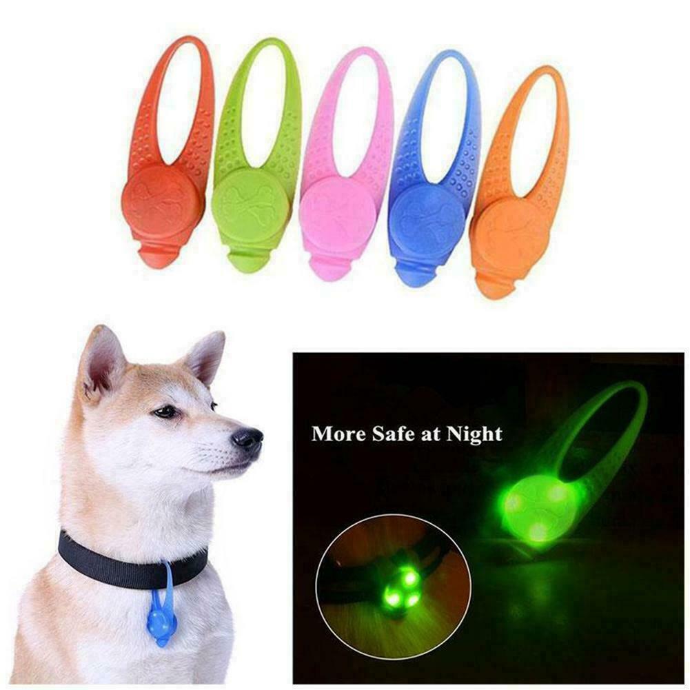 dog walk light ups collar