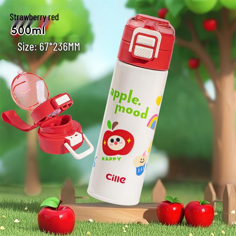 Xile Dual-Drink 316 Stainless Steel Insulated Water Bottle