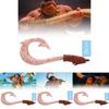 Colorful Maui Fish Hook Fun Toy For Children Featuring Music And Lights