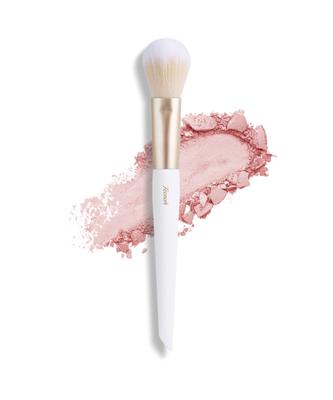 Feenah 301 Blusher Brush
