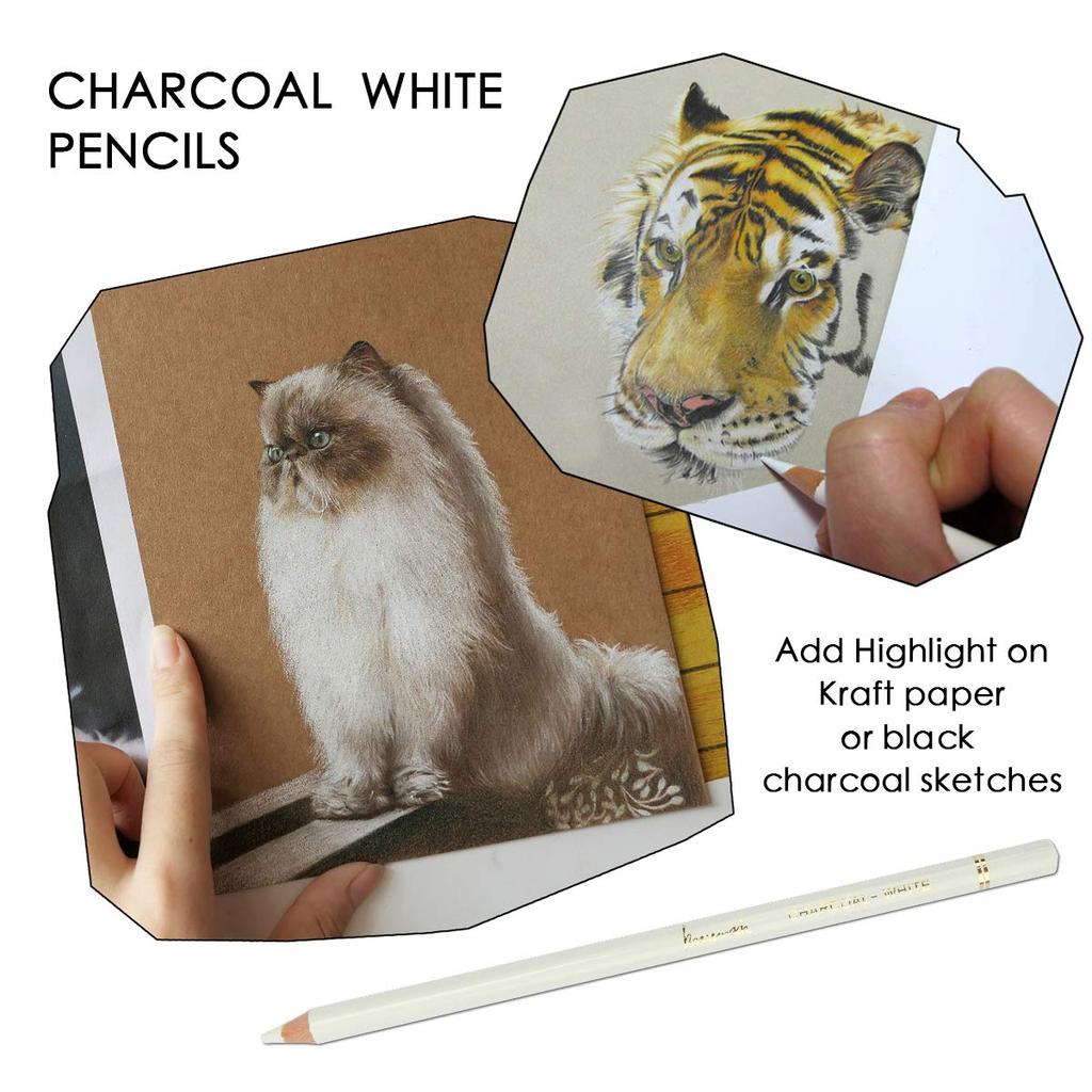 Brusarth Professional White Charcoal Pencil Set Set of 3 Sketch Highlight White Pencils for and Highlighting - Drawing, Sketching, Shading, Blending,
